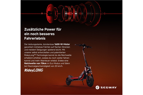 Ninebot by Segway eKickScooter ZT3 Pro D (rot)